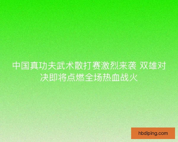 中国真功夫武术散打赛激烈来袭 双雄对决即将点燃全场热血战火